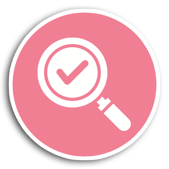 Audit icon